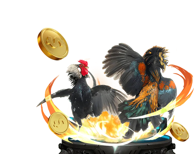 Học hỏi kinh nghiệm từ các cao thủ đá gà